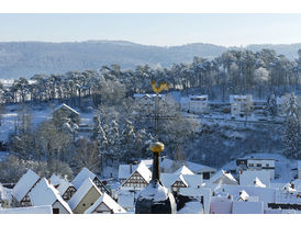 Blick auf Naumburg (Foto: Karl-Franz Thiede)